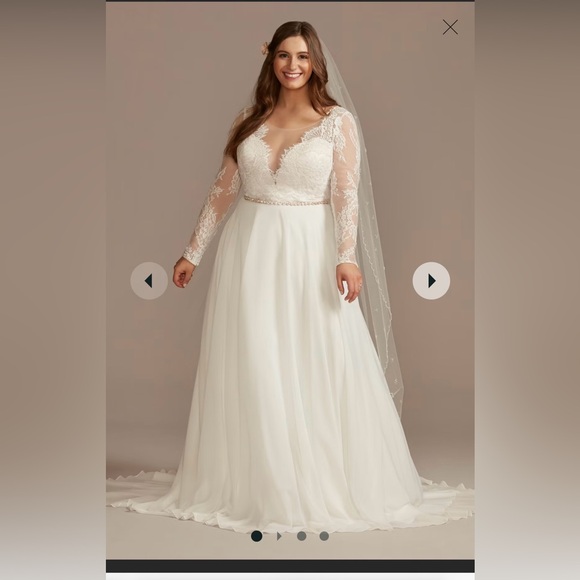 David’s Bridal 18W altered bridal gown, wedding dress - Picture 3 of 3